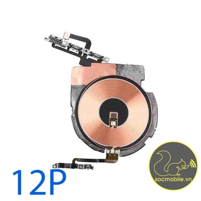 Cáp Nguồn Volume Liền Sạc Không Dây Thay Thế iP 12 Pro