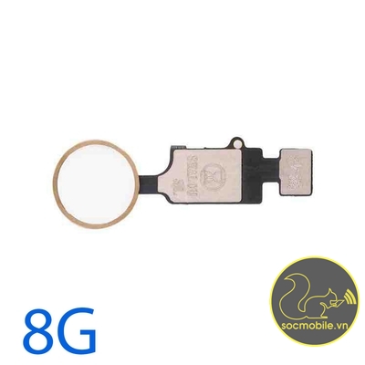 Nút Home iPhone 8G BFX