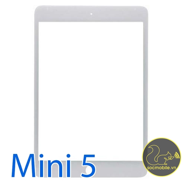 Kính iPad Mini 5