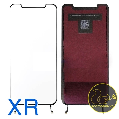 Phản Quang Thay Thế iP XR