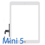 Cảm Ứng iPad Mini 5