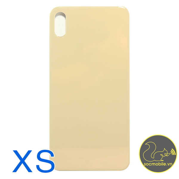 Kính Lưng Thay Thế iP XS 